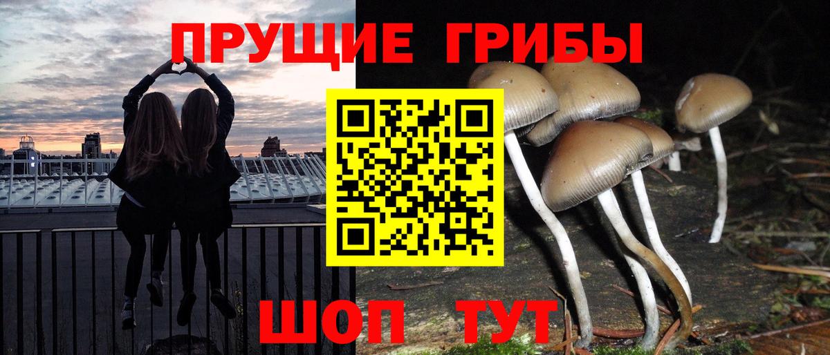 Галлюциногенные грибы Magic Shrooms Ипатово