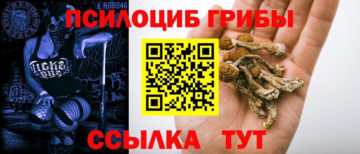Галлюциногенные грибы MAGIC MUSHROOMS  наркошоп  Ипатово  Псилоцибиновые грибы Psilocybine cubensis  Вход с VPN 
